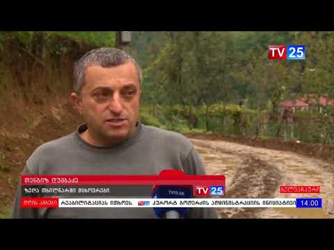 თხილნარში გზის მოწერიგებას ითხოვენ