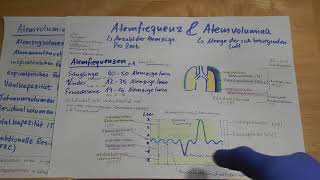 5: Wie viel passt in die Lunge? Erklärung Atemfrequenzen & Lungenvolumina für Rettungssanitäter