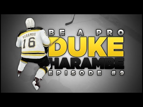 NHL17 - Be A Pro - Duke Harambe #9