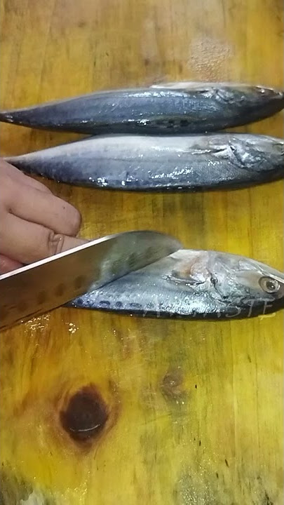 Cara Masak Ikan Kembung Sambal Balado Enak dan Sederhana 😍😍