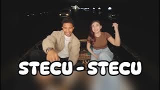 STECU STECU - FARIZ ADAM FT DARA AYU #music #fypシ゚viral #stecustecu #liriklagu