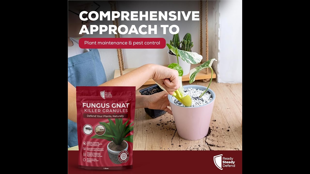 Fungus Gnat Killer Granules 1L - Easy Application, Enhances Plant Health, Durable Diatomaceous Earth