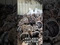 All Model Engine &amp; Gearbox Available | Used Car Spare Parts in Stock | HS Spare Parts"