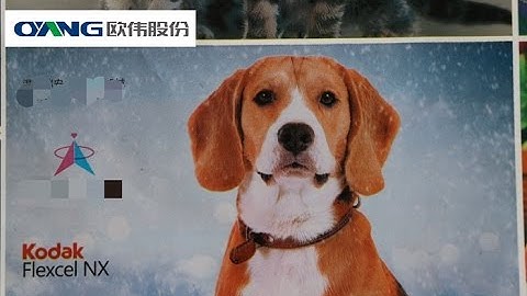 ONL 41200 4 color 1200 High Speed Flexo Printing Machine