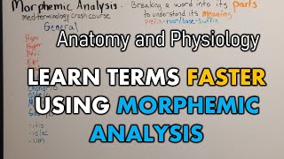 Basic Med Terminology with Practice by Anatomy Hero 586 views 4 months ago 5 minutes, 42 seconds