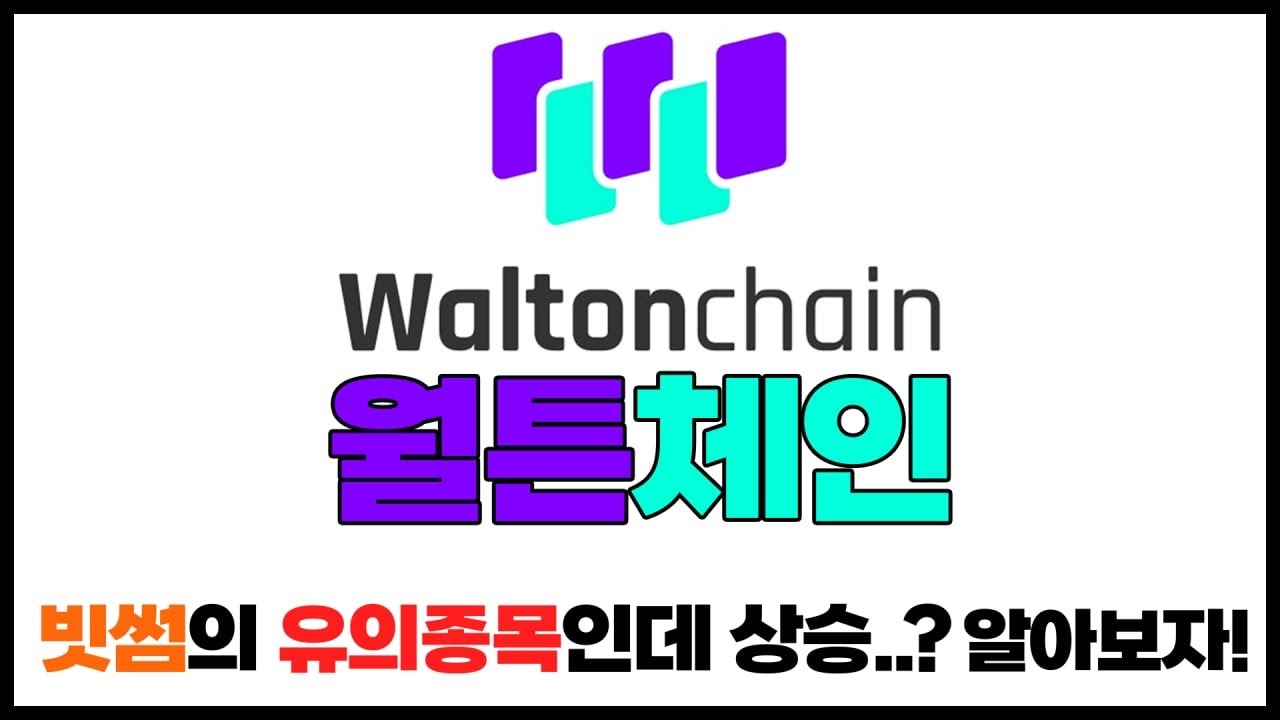 월튼체인 빗썸의 유의종목인데 상승...? 알아보자! - YouTube