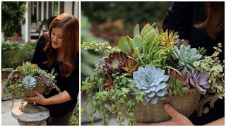 Arranging Succulents in an Urn!  🌿🥰💚 // Garden Answer