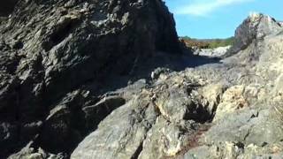 Crantock 2.mp4