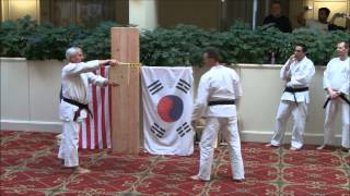 Tae Kwon Do Master Chris Breaks 2 Boards with a Spinning Hook Kick