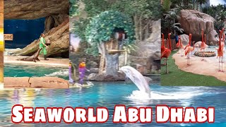 SEAWORLD Abu Dhabi Part 2: Sea Lion and Dolphin Show | Flamingos Encounter