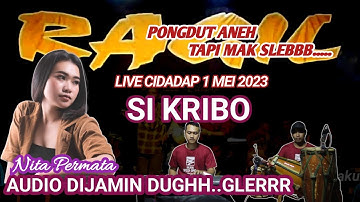 SI KRIBO - NITA PERMATA - KENDANG RAMPAK - RAGIL PONGDUT