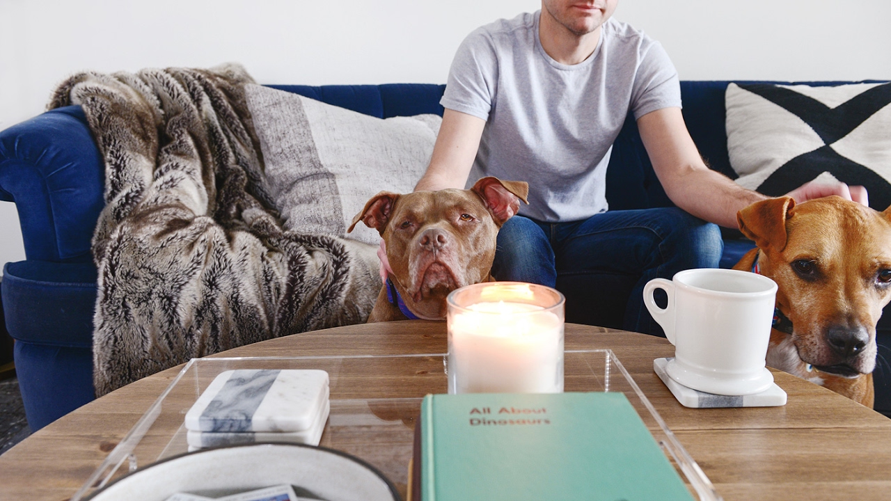 DIY A HAIRPIN LEG COFFEE TABLE IN 5 STEPS
