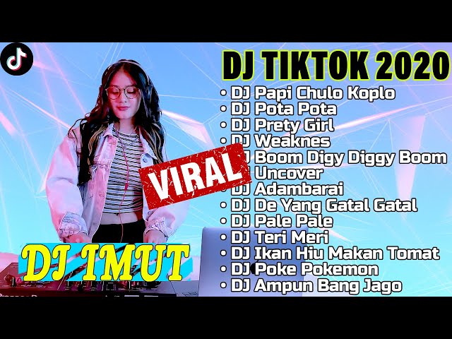 DJ Tiktok Viral 2020 || DJ Imut - Dj Pota Pota Viral 2020 || DJ Imut Full Allbum class=