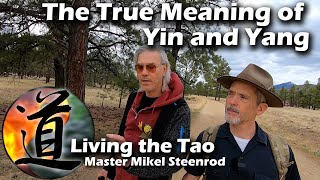 The Yin-Yang Symbol is Everywhere. Learn how the Taoist Sun and Shadow symbol can improve your life.