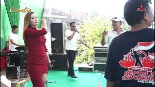 JATUH CINTA - Evis Renata CAMELIA Terbaru Live Bacin Kudus