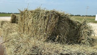 I started a hay business from scratch… pt1