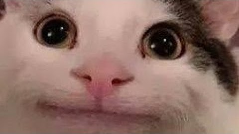 Making Plugins for MCPE 0.14.x - 0.15.10