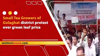 Small Tea Growers of Golaghat district protest over green leaf price