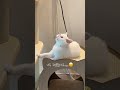 바다 미모 감상용