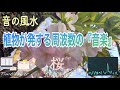 【浄化・目醒め・意識の拡張・響きあう変化・432 Hz】淡紅色に美しく変化する『衣通姫「桜」』による演奏「音の風水」♪（Part 48）