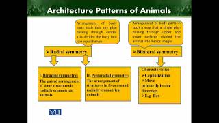 ZOO201 Topic001