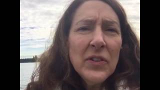 Helping pacing dogs