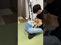 爪切りはお店に任せるとして、何よりこのハンモックこつめがたまらなく可愛くて、何回でも見られる。今日もご馳走様です。