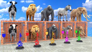 Download Lagu Long Slide Game With Cow Elephant Gorilla Hippopotamus Tiger - 3d Animal Game - Funny 3d Animals MP3