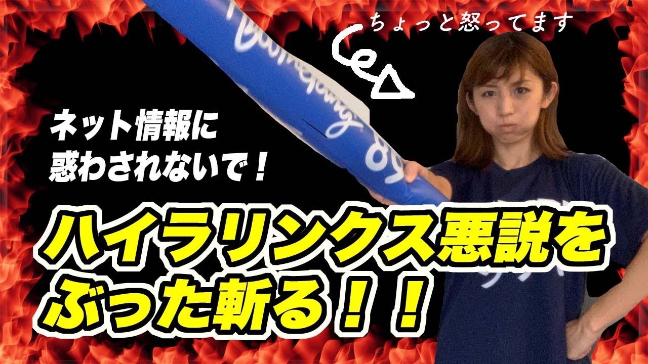 GVG73　ハイラリンクス悪説をぶった斬る！