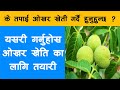       walnut cultivation processing and marketing  krishi sandesh