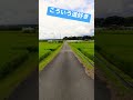 #田舎道 #一本道 #風景 #こういうの好き #道 #田舎 #景色 #綺麗 #田んぼ #癒し #のどか #雰囲気 #静か