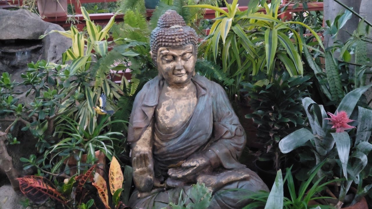 San Diego Bird Festival at the World Beat Center