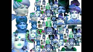 Peacscan Aaron Paulhamus