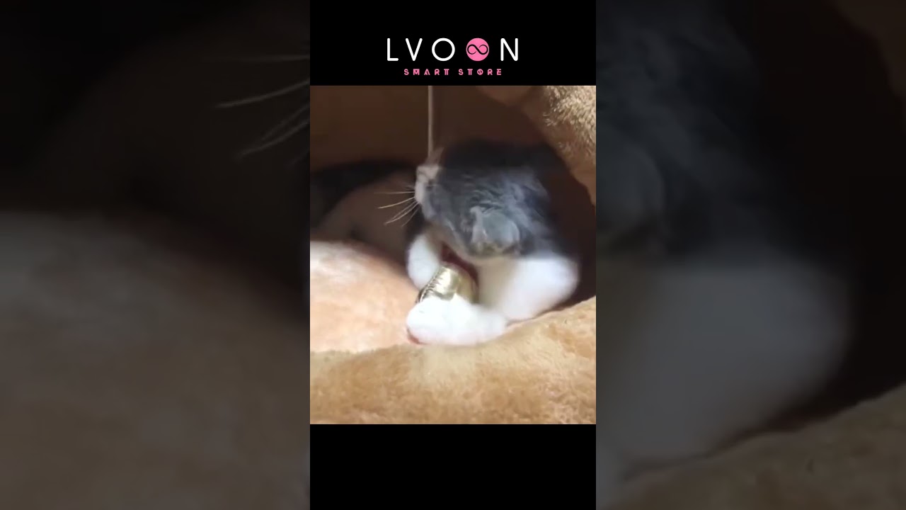 Cat Bed Indoor Soft Cats Houses Warmble Washable Tent Pet House Cat’s Basket Pets Mat Supplies