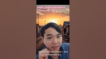 What is Non-Refoulement? | International Law | The Reverse Diplomat