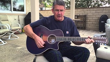 Taylor Twelve-String