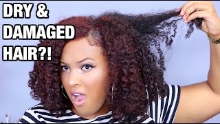 THIS Is Why Your Hair is DAMAGED, DRY and BREAKING OFF! (Natural, Relaxed, Transitioning hair)