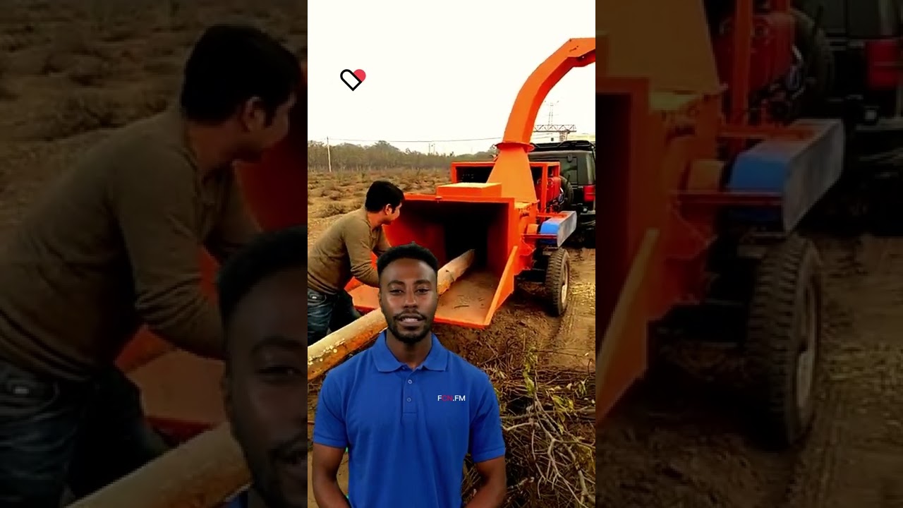 ⚽ tree branch shredder machine hot sale for wood chips 
