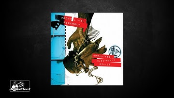 Front Line Assembly - Downfall