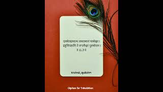 "Bhagavad Gita | Chapter 11_Shloka 11.3 | Krishna Updeshm"