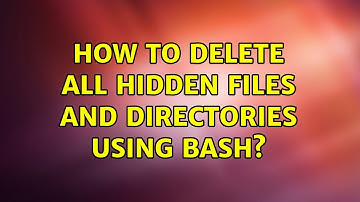How to delete all hidden files and directories using Bash? (3 Solutions!!)