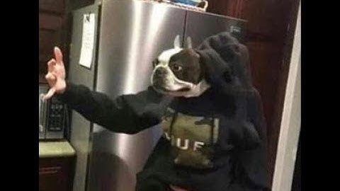 the binding of isaac: afterbirth+ | unlocking broken modem