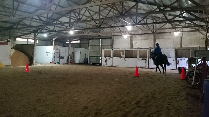 deanna hasler remembrances Starfire gaited eq nov ...