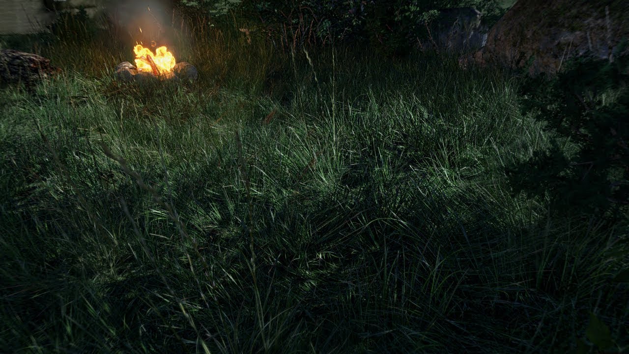 UNITY3D GRASS - test version 2 - C15: Find Out Alpha - YouTube