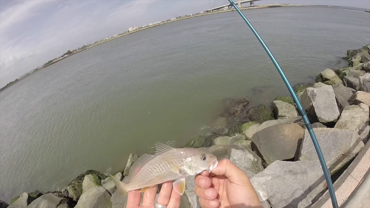 Indian River Inlet Atlantic Croaker Fishing 7/24/18 YouTube