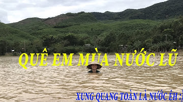QUÊ EM MÙA NƯỚC LŨ | ĐI BẮT CÁ cho MÁ làm món ĐẶC SẢN MÙA LŨ ở MIỀN TRUNG.|Duy Năng VLog #07