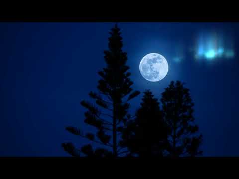 Eli & Fur - Night Blooming Jasmine (Rodriguez Jr. Remix) 432hz