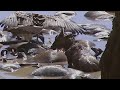Lions and Cheetahs: Kings Of Africa's National Parks
