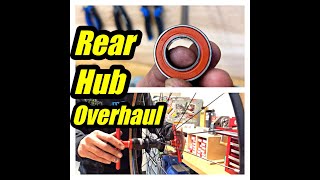 rear bicycle hub cartridge bearing replacement