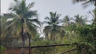 ID.NO.88..6361645130=9731865069